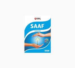 Saaf  